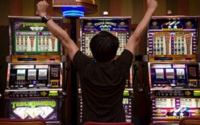 The Wild Life Slot Review: Free Demo, Bonus Features, and Payout Potential from IGT